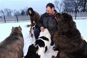 pets and cold