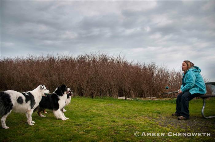 Kathleen Zuidema plays paddle ball with her three dogs. 