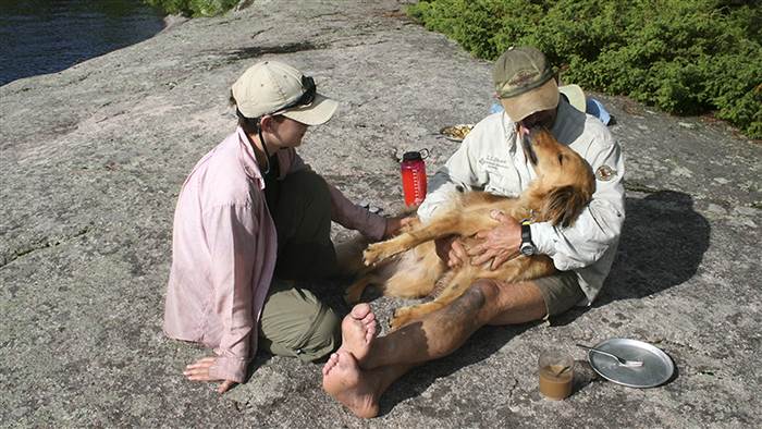 dog reunites with its family