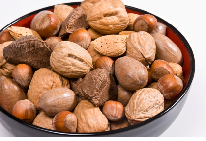 nuts toxic to dogs